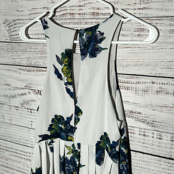 Free People Cloud Combo
Floral "Flutter By" Pleated Mini Dress 6 MSRP $128 - Picture 15 of 16
